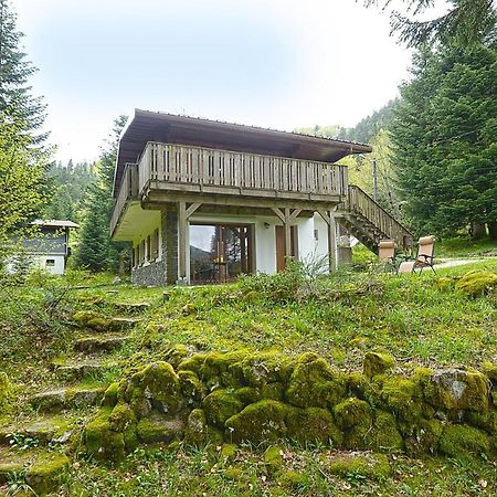 Le Schwarzwald - A Proximite Des Stations De Ski La Bresse Kültér fotó